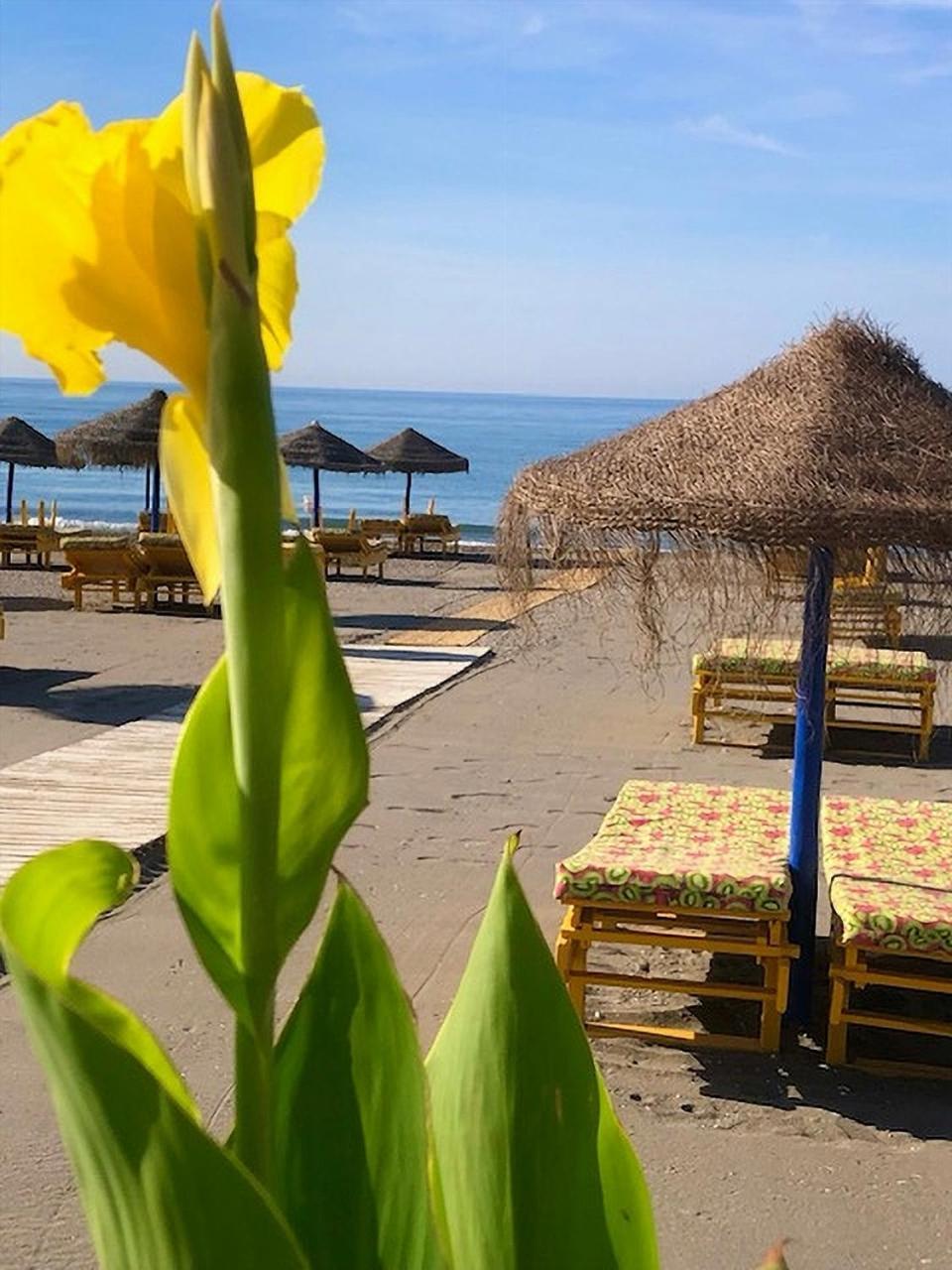Spacious 1 Bedroom Apartment, Beach Front, Torrox Costa 외부 사진
